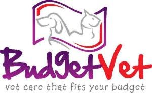 Budget vet logo. Logo is a drawing of a dog and cat within a purple and red rectangle